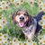 Jodee Bihl's profile image