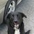 Vance T. Barker's profile image