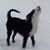 Brian Rupe's profile image