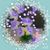 Jemima Morales D'Ciriaco's profile image