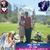 Tammy L Haskett's profile image