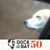 Seann Conklin's profile image