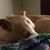 Jill Manos's profile image