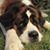 Ginger Milliron-Wickham's profile image