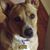 Mary Ann Nobles Haddad's profile image