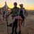 Brittany Steffen's profile image