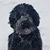 Christine Butler Moynihan's profile image