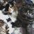 Diane Hoene's profile image