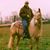 Alan Buzzy Duncan's profile image