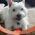 Waymon Hughen's profile image