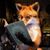 Todd Ernst's profile image
