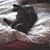 Ruxin Creatuure's profile image