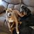 Kimberly Furino-Rye's profile image