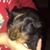 Tricia Sparks's profile image