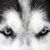 Craiger Ville's profile image