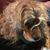 David Carpenter's profile image