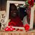 Gabriele Holt's profile image
