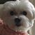 Kathy Allen's profile image
