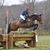 Ondine Eardley's profile image