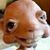 Sparky Ijs's profile image