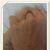 Sandy Devlin's profile image