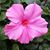 Kay Brunner's profile image