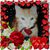 Kristine Kazda's profile image