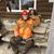 Peter J. Pica's profile image