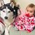 Lizette LaCourse's profile image