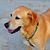 Buddy Mason-Smith's profile image