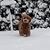 Lori Scheri Tonozzi's profile image