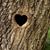 Laura Torres Silva's profile image