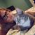 Renee Gerri's profile image