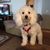 Mary Jane Barnes's profile image