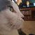 Maryann Goslin Doherty's profile image