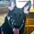 Jeffrey Sweeney's profile image