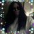 Eva Suzanne Fiorello's profile image