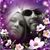 Cathy Heatwole's profile image