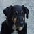 Gudrun Heiermann's profile image