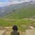 Yashfeen Leghari's profile image