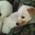 Brinda Mcmillen's profile image