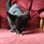 Jenny Endsley's profile image