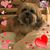 Andrea Victoria Samarkos's profile image