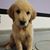 Jamie Kerester's profile image