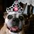 Tricia Brown's profile image