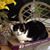 Mary Lou Michelini's profile image