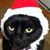 Joan Mealy's profile image