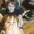Melissa Newman Lantka's profile image