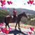Lisa Haight's profile image