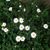 Ann Griesacker's profile image